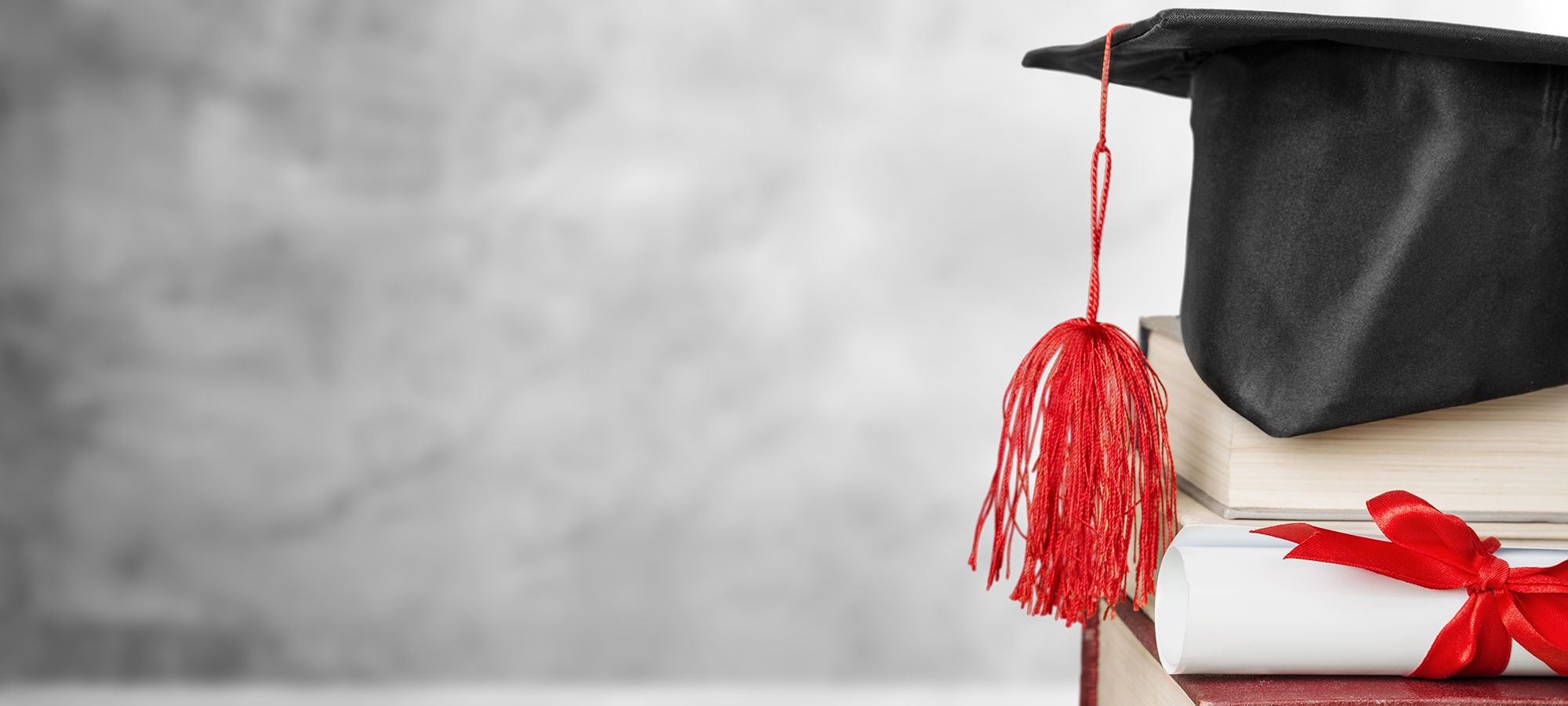 Laurea Magistrale (M.S.E.E.)